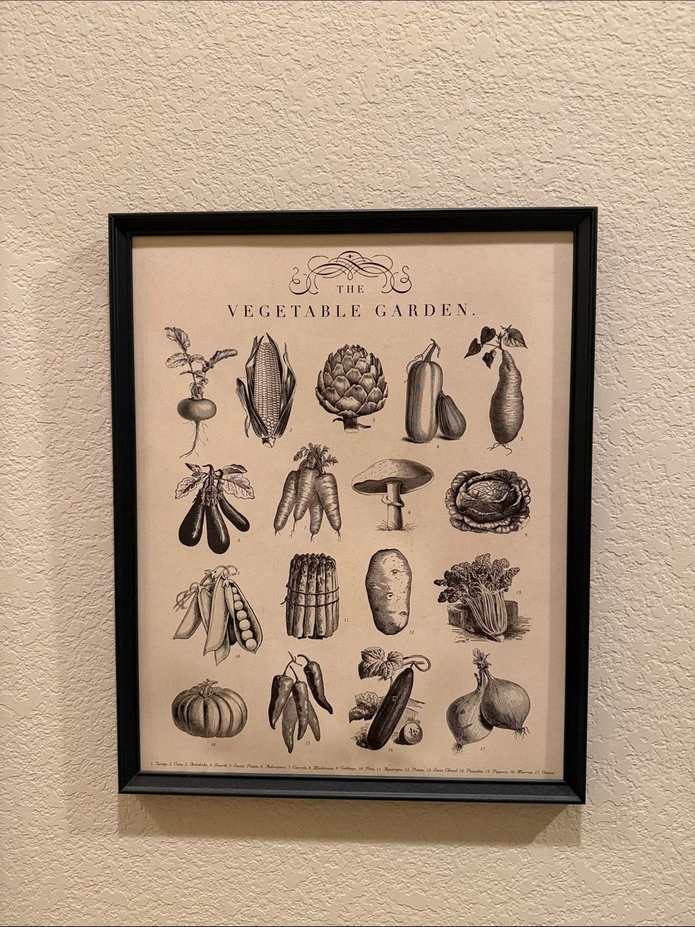 Herb and Vegetable Garden Wall Art Print - Black and White Framed Decor
